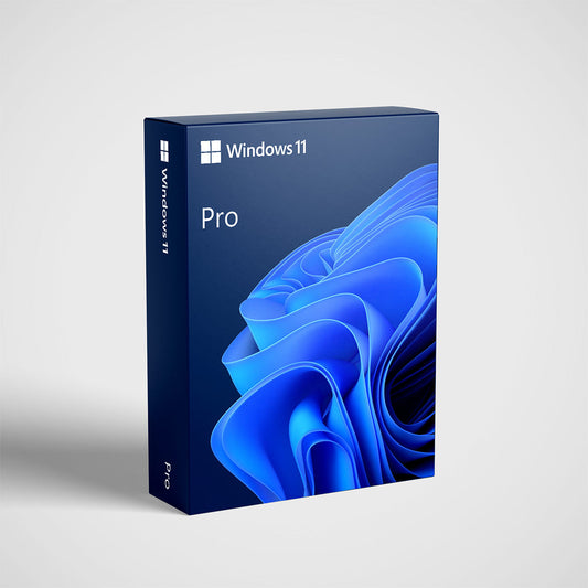 Microsoft Windows 11 Pro